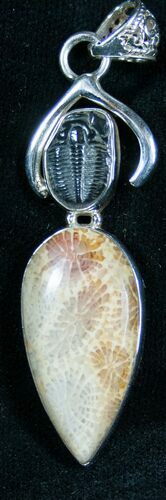 Trilobite & Fossil Coral Pendant #7444